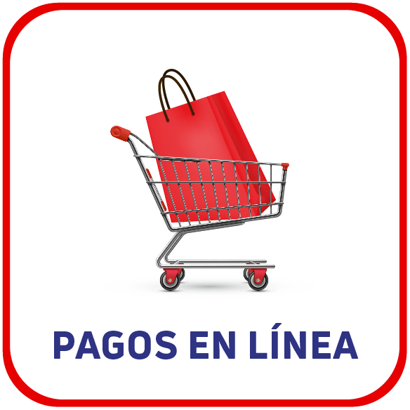 Pagos en línea