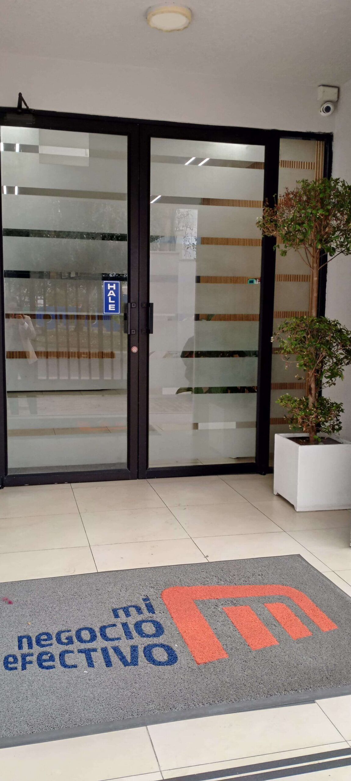 Entrada MNE