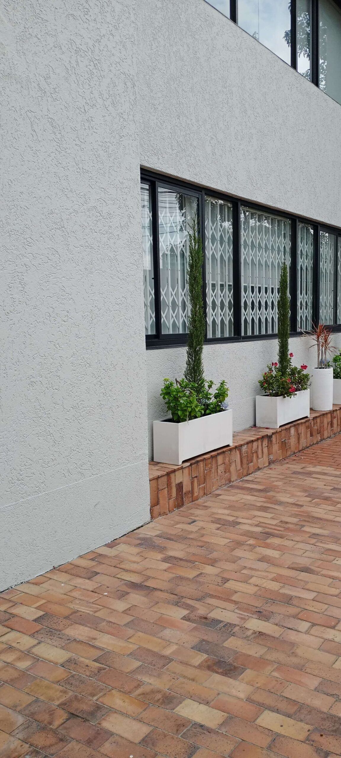 Jardinera MNE