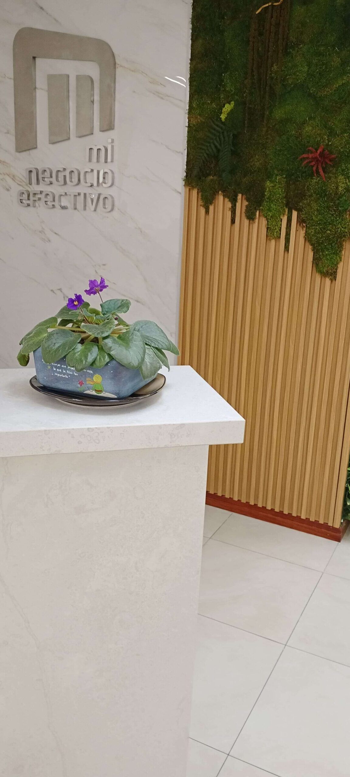 Recepción MNE