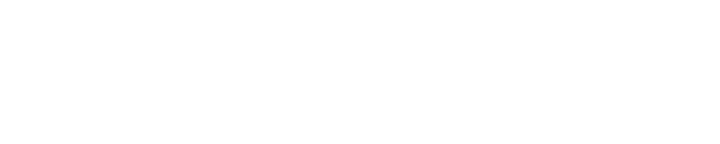 Logo-payvalida-blanco