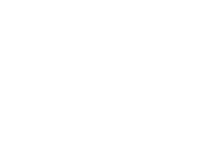 logo alphanet 1