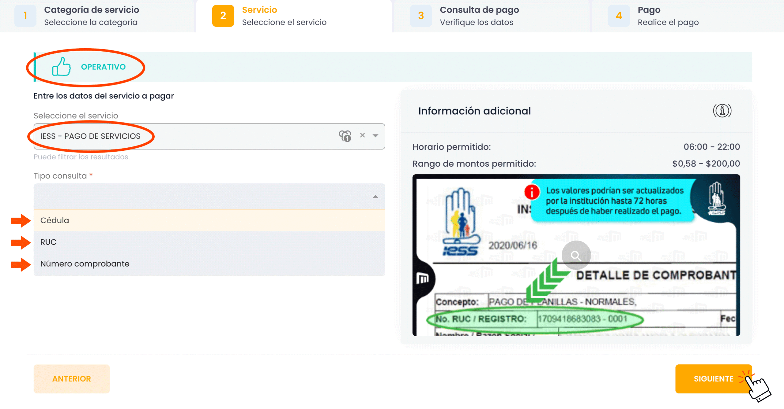 Opción B - IESS pago servicios