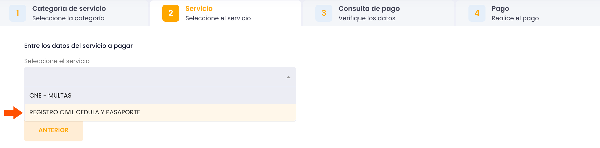 Selección servicio