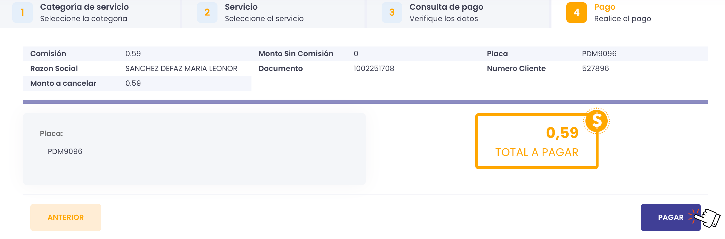 Clic en pagar