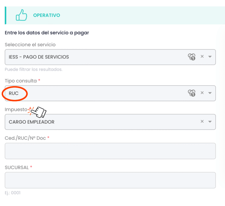 Tipo de consulta - RUC
