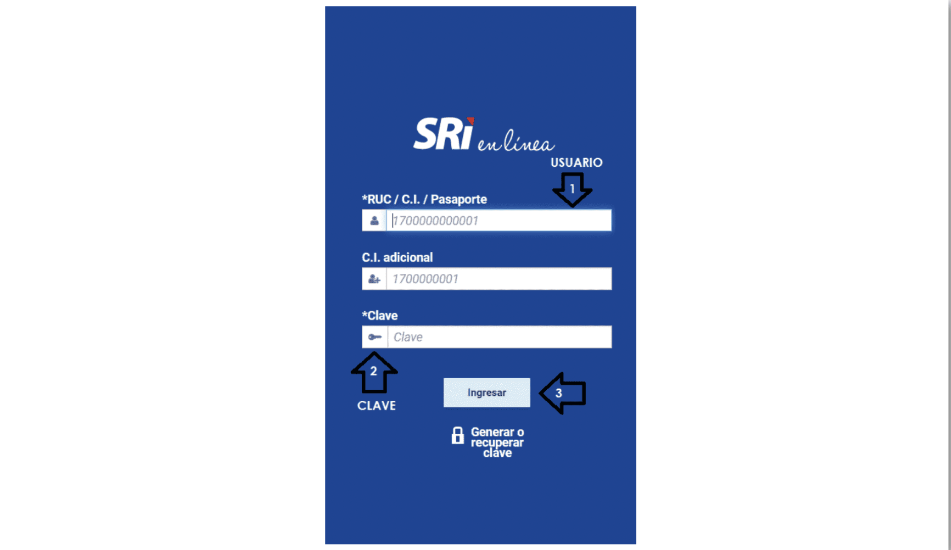 Ingresa tus datos en el SRI
